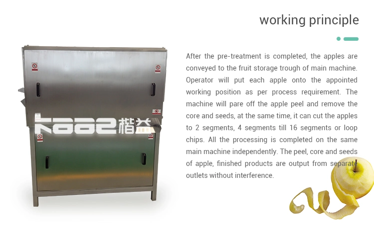 High Speed Industrial Apple Peeling/Slicing/Segmenting/Cutting/Destoning/Coring/Pitting Machine