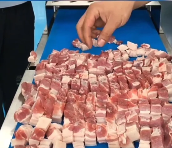 Tagliatrice multifunzionale di strisce di carne fresca per impianti di lavorazione alimentare